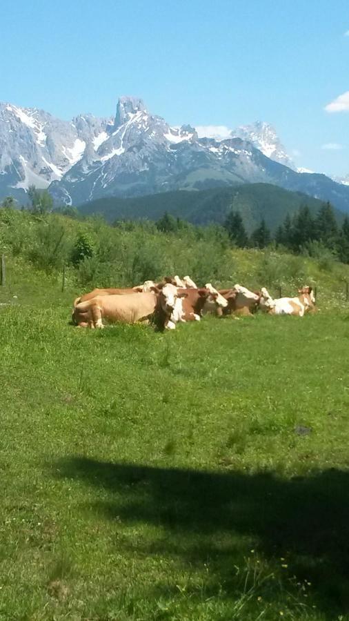 Haus Knapp Nette 4Er Fewo Apartment Dorfgastein Bilik gambar